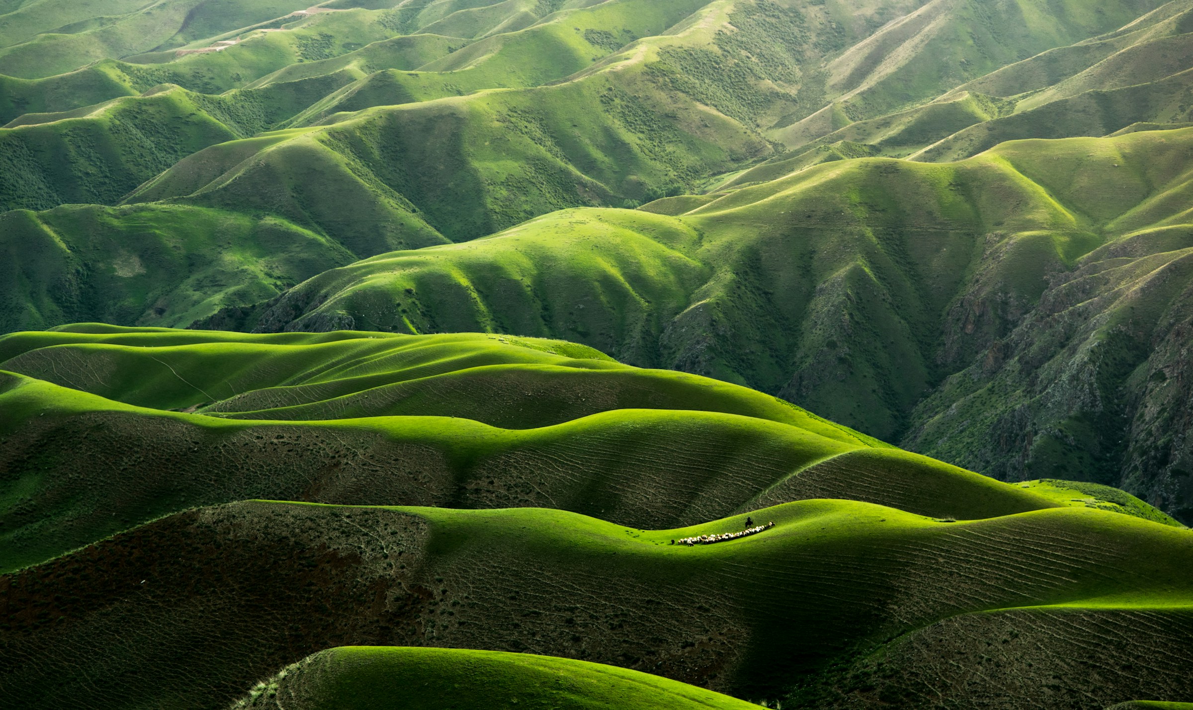 Peaceful landscape as a memorial tribute